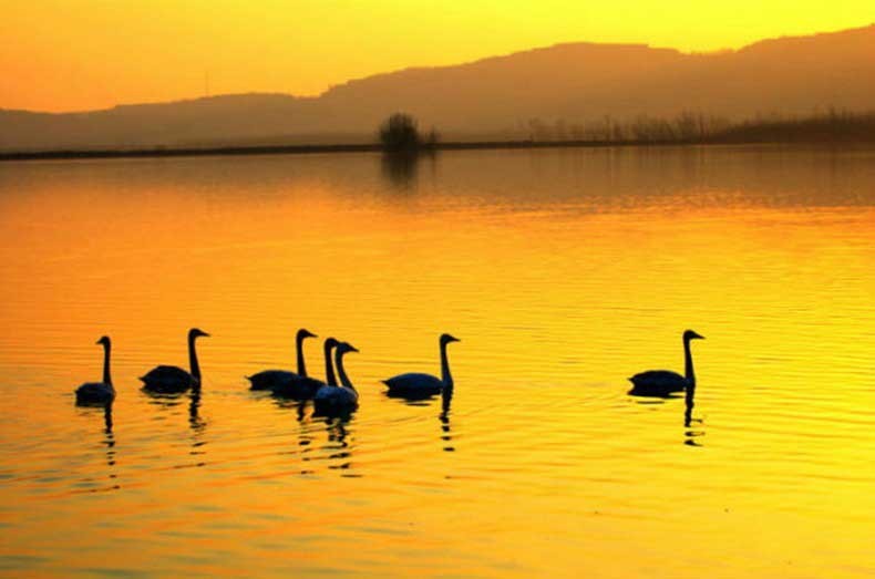 恒溫恒濕試驗(yàn)箱 恒溫恒濕試驗(yàn)箱